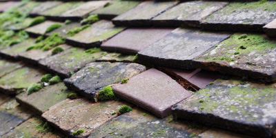 Elstow roof repair costs